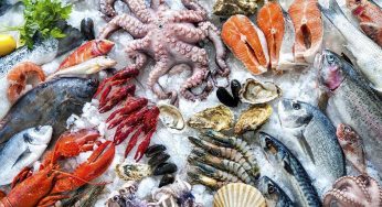 Dịch thuật tiếng Nhật Bệnh Án – Hồ Sơ Thuốc Thủ Đô Hà Nội
