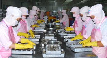 Dịch thuật tiếng Nhật tài liệu Môi Trường Thành Phố Hồ Chí Minh