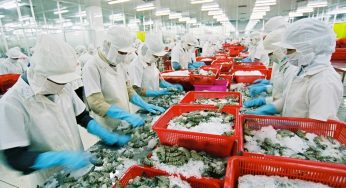 Dịch thuật tiếng Nhật Bệnh Án – Hồ Sơ Thuốc Tỉnh Thành Việt Nam